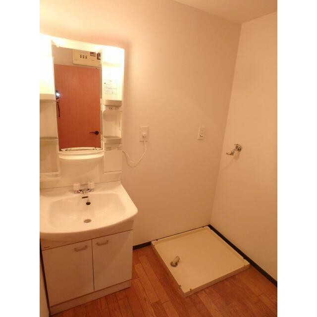 独立洗面台・室内洗濯機置場(内装)