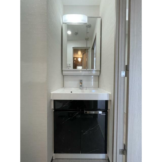 独立洗面化粧台(内装)