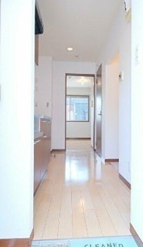 ※同仕様写真含む(玄関)