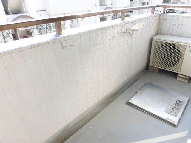 ※同仕様写真含む