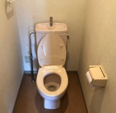 ※同仕様写真含む(内装)