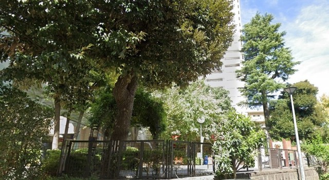 渋谷区立代官山公園（代官山）（745m）(周辺)