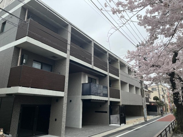 目黒区原町1丁目 【賃貸居住】マンション