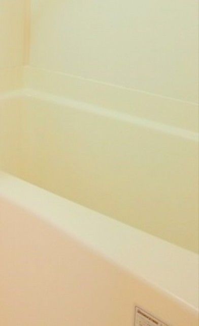 ※同仕様写真含む(風呂)