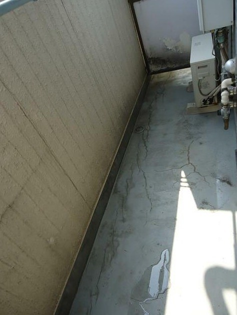 ※同仕様写真含む