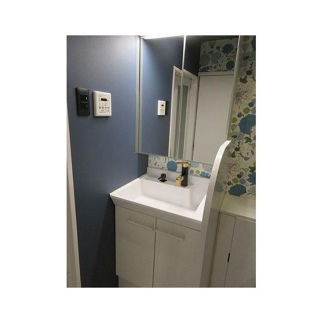 洗面化粧台(内装)