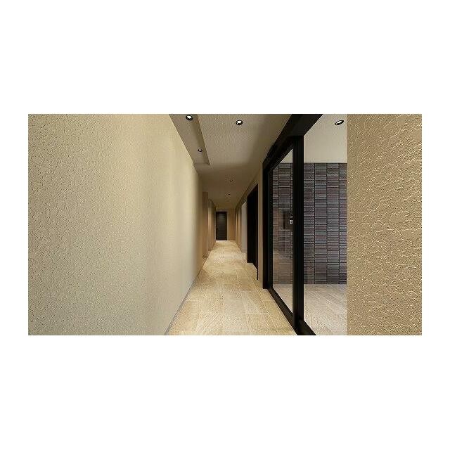 【積水ハウス施工重量鉄骨造3階建シャーメゾン】～共用エントランス～(その他建物画像)