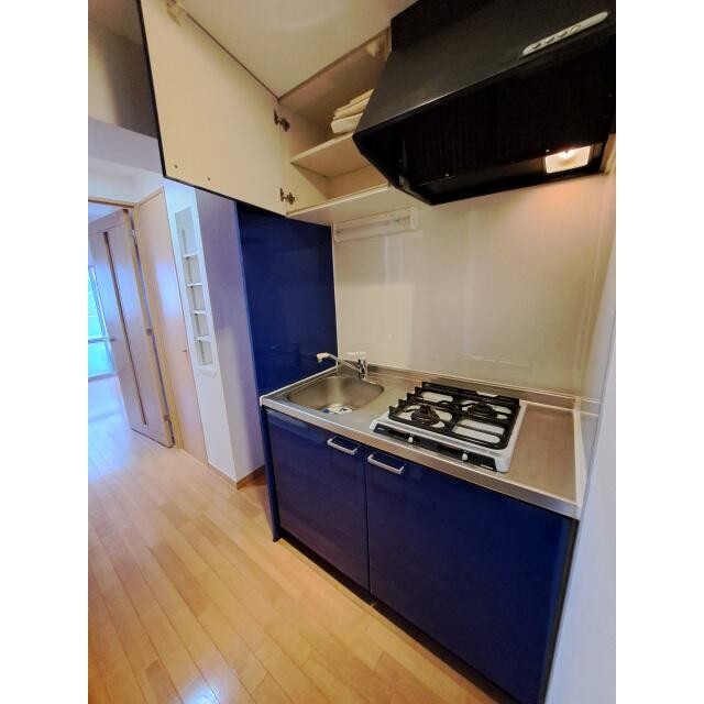 同タイプ参考写真(キッチン)