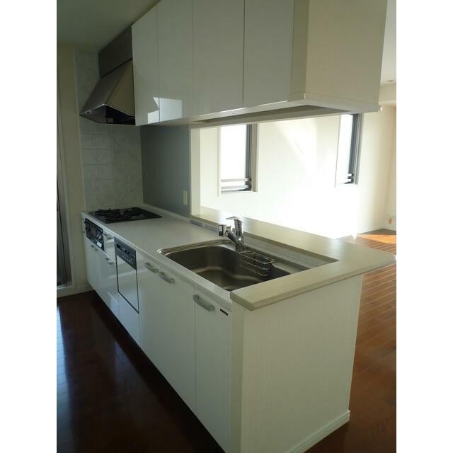 Eタイプ2010年2月撮影 同タイプ208号室の写真です。(キッチン)