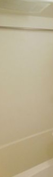 ※同仕様写真含む(風呂)