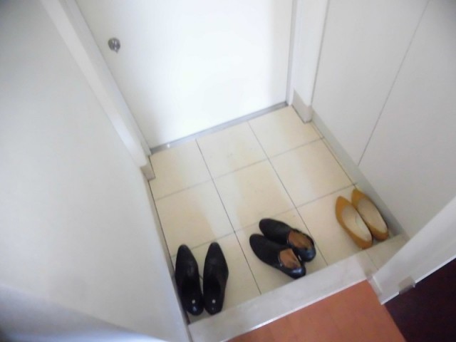 ※同仕様写真(玄関)