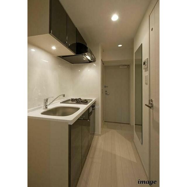 2口ガスグリル付システムキッチン(キッチン)