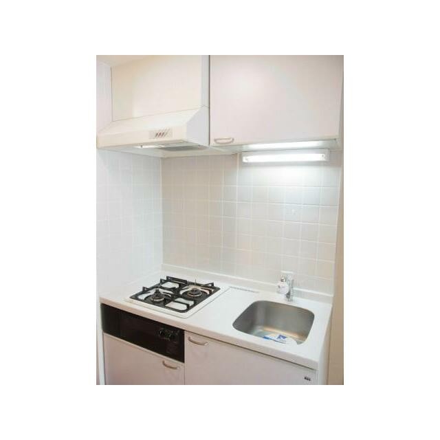 同タイプ参考写真(キッチン)