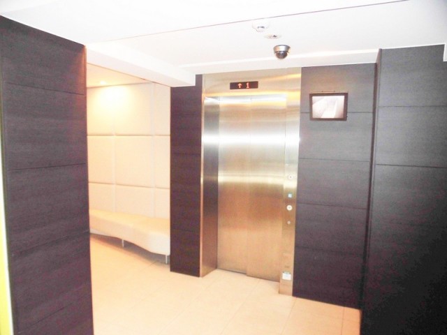 ※同仕様写真含む(内装)