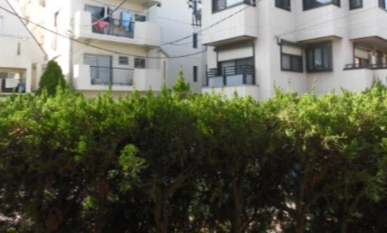 ※同仕様写真含む