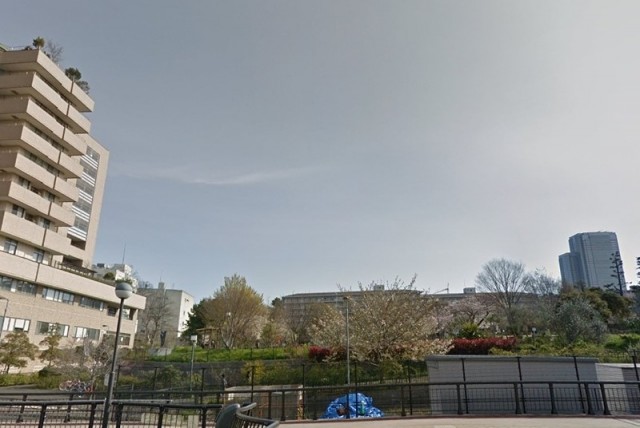 中目黒公園（中目黒）（519m）(周辺)