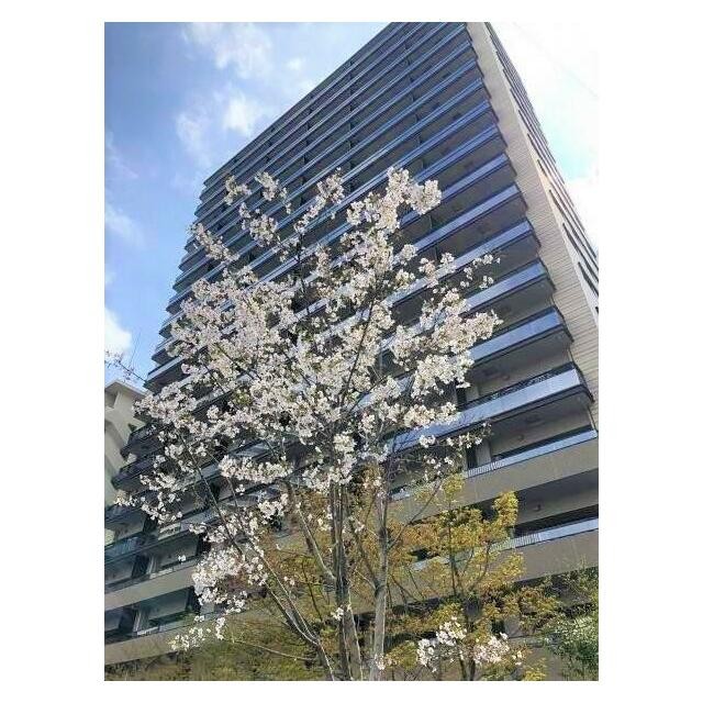 品川区西五反田3丁目 【賃貸居住】マンション