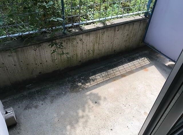 ※同仕様写真含む