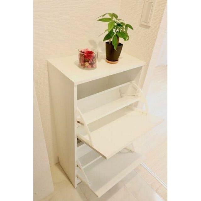 靴入※室内の小物はイメージです