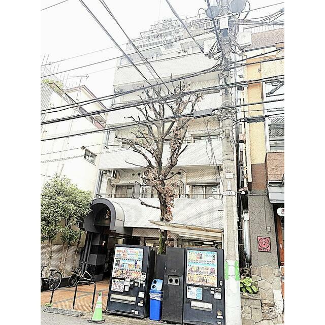 (外観)