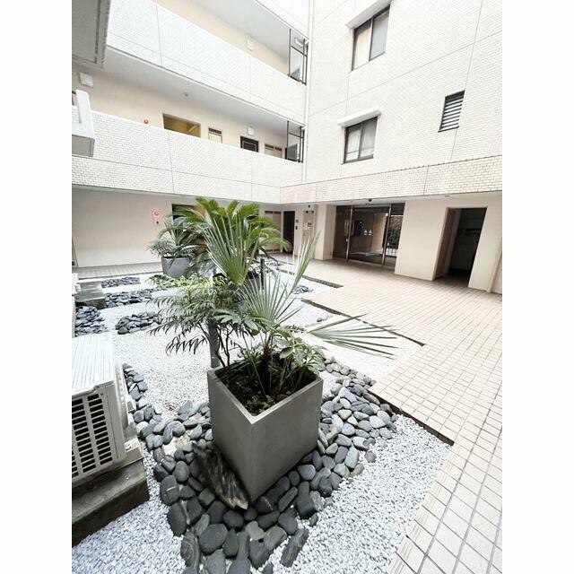 中庭 2022年9月撮影