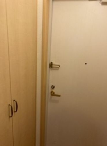 ※同仕様写真(玄関)
