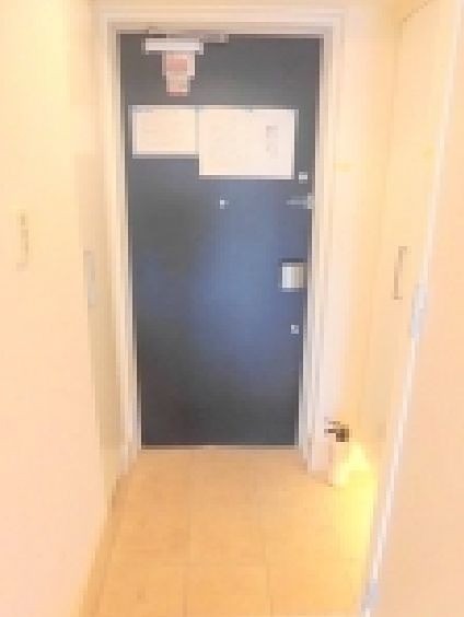 ※同仕様写真(玄関)