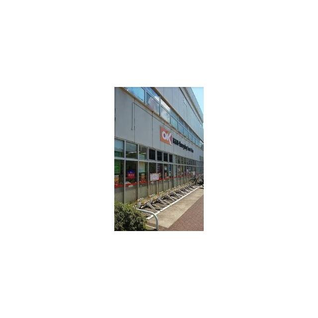 OK（オーケー） 南六郷店（321m）(周辺)
