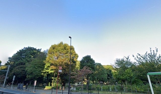国立科学博物館附属 自然教育園（目黒）（1404m）(周辺)