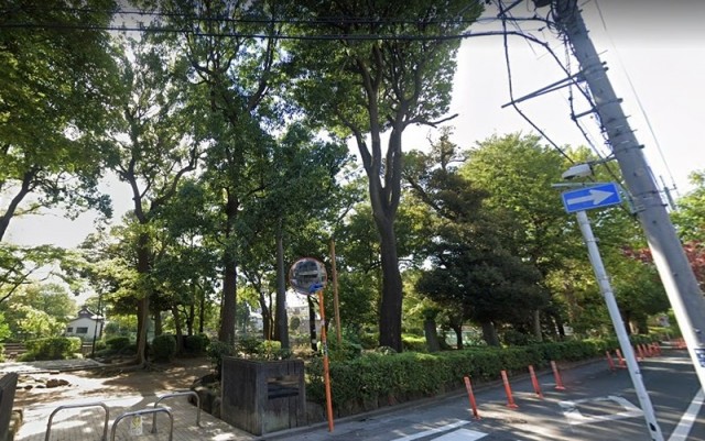 碑文谷公園（学芸大学）（1185m）(周辺)