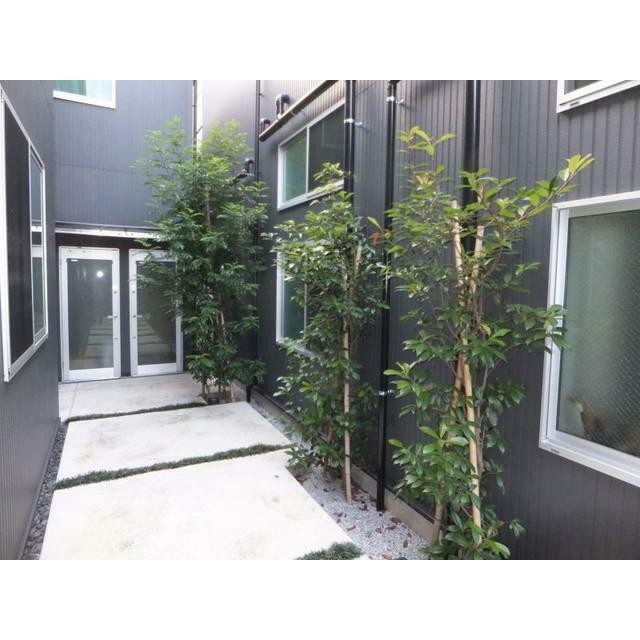 エントランス(その他建物画像)