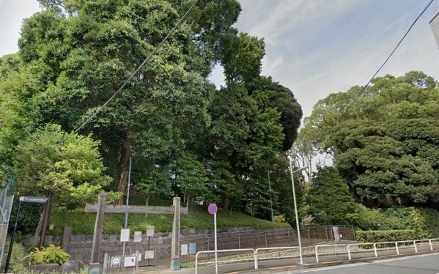 戸越公園（戸越）（344m）(周辺)