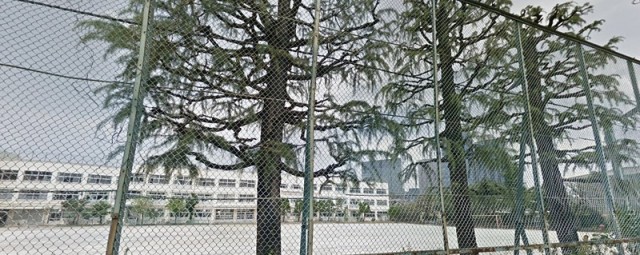 品川区立大崎中学校（大崎）（502m）(周辺)