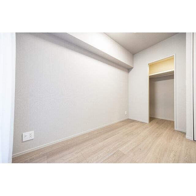 2026年7月撮影