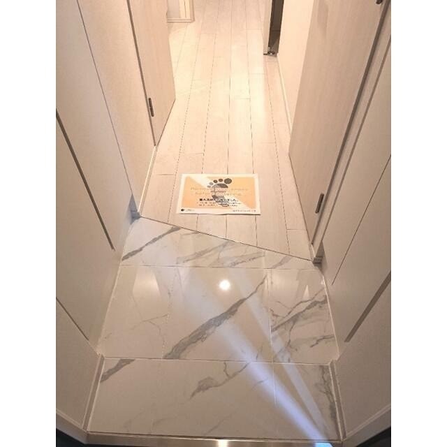 ※同仕様写真(玄関)