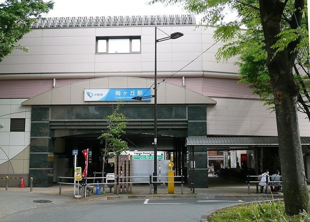梅ヶ丘駅（489m）(周辺)