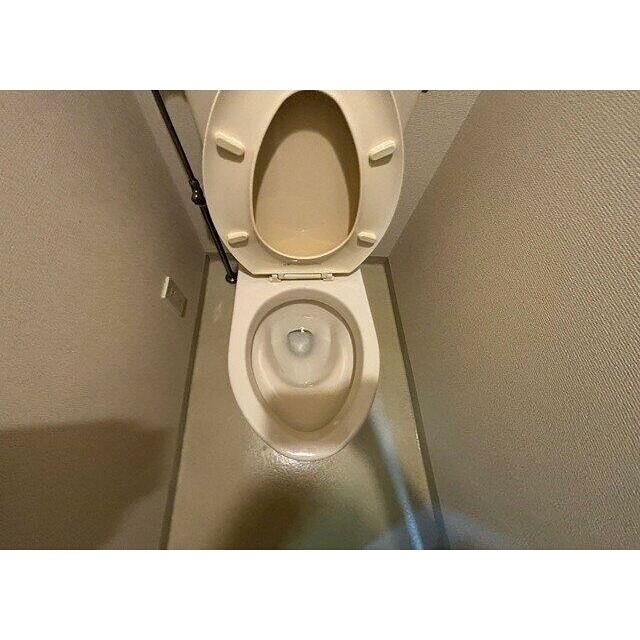 ※同仕様写真含む(内装)