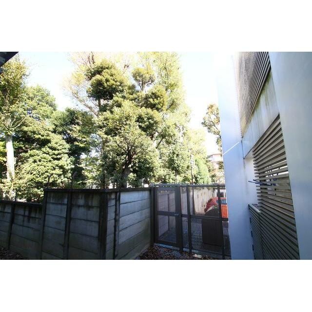 景色