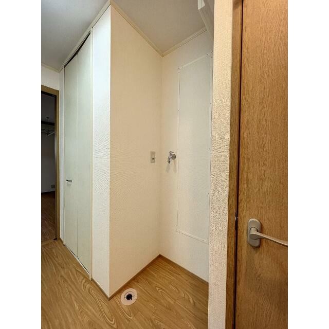 参考写真