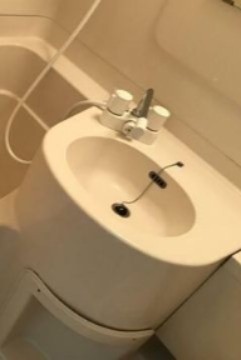 (内装)