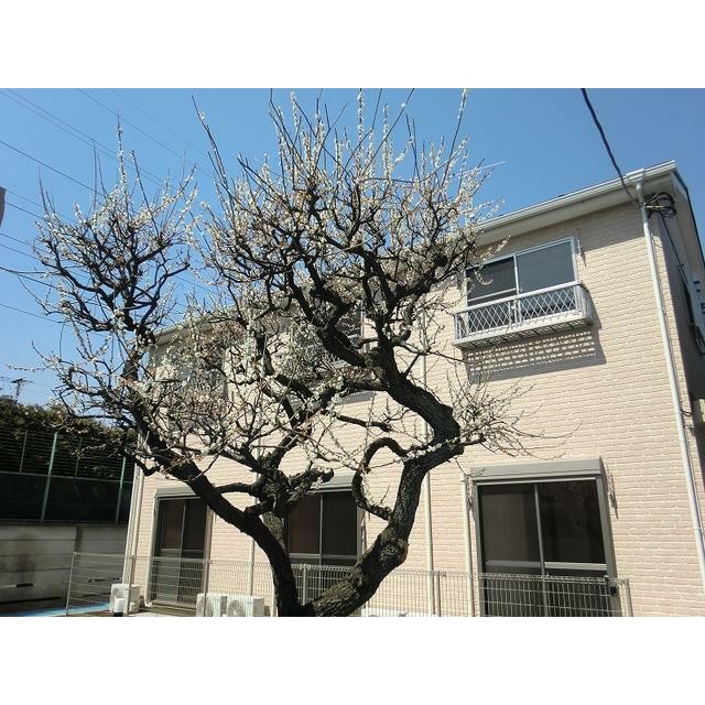 世田谷区若林2丁目 【賃貸居住】アパート