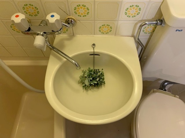 (内装)