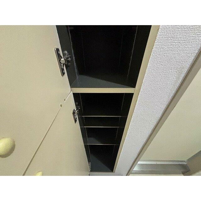 靴入(内装)