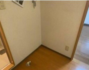 ※同仕様写真含む