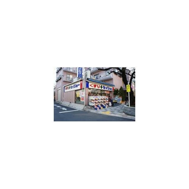 くすりセイジョー南馬込店（258m）(周辺)