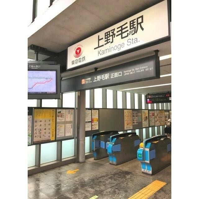 上野毛駅（591m）(周辺)
