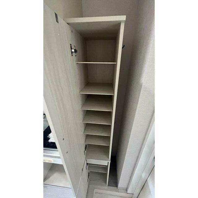 靴入(内装)