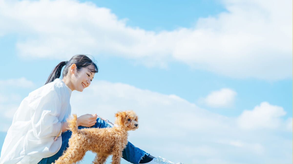 ペット可の賃貸物件で入居や契約時に注意しておくべきこと