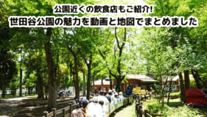 この画像はコラム「世田谷公園の魅力を動画と地図でまとめました!公園近くの飲食店もご紹介!」のサムネイル画像です