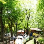 世田谷公園へ最寄駅からのアクセスやミニSL･フリマなどのイベントを紹介!
